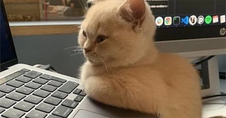 Lis&#39; 51 Authors • 1 Read 1 TBR