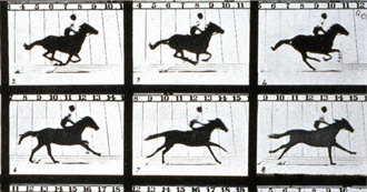 Movies I&#39;ve Watched in or Because of Film School