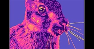 Books C Read in October-December 2021