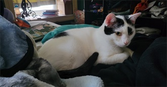 Kent&#39;s Top Books