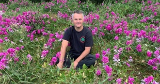 Last 10 Albums Harry Has Listened to (94)