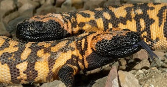 Books Baillie Has Read in 2025