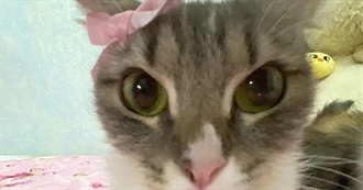 Jax&#39;s Top 125 Albums Ever