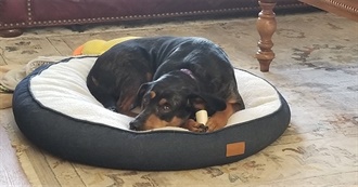 Bridie&#39;s 5(2) Movies She Remembers Really Enjoying