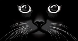 What Inspired Me as a Writer