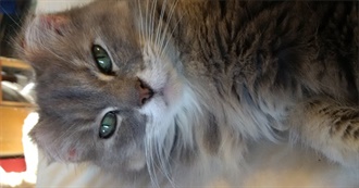 CH&#39;s Next 75 Books