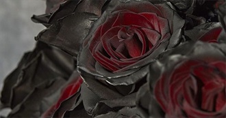 Halloween Season Is Here Again