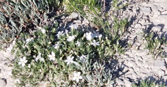 Auntie Em&#39;s Favorites