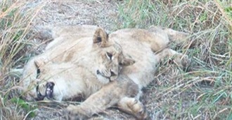 A Real Adventurer&#39;s Bucket List