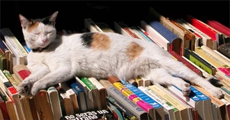 A Book for Every Year of Ladycalico&#39;s Nine Lives