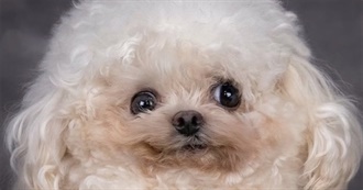 Envybabey&#39;s Top 100 Films (2025)