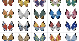 Vivillon Forms
