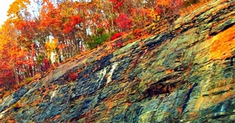 Laia&#39;s October Book Haul