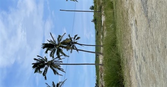 Books That Start With the Letter J