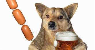 Sharky&#39;s Top 100 Games Except Its Not 100