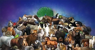 Animals Are Amazing How Many Have You Heard Of?