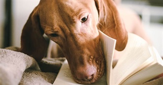 Books About Music (Nonfiction)