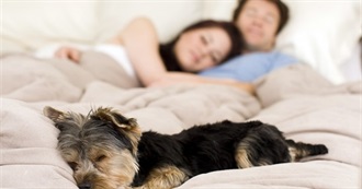 Have You Slept on These Types of Beds?