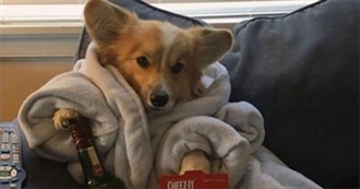 SG's Best Movies of All Time