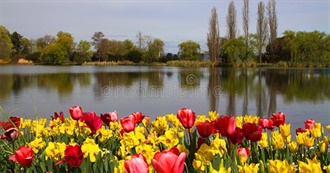 Sites and Cities Visited by Hani