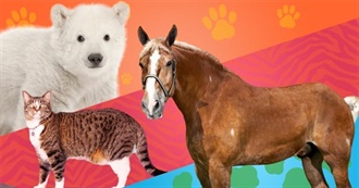 Movies About Animals That Cora Saw