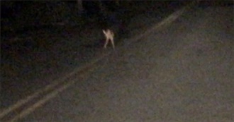 Movies Watched for Movie Night #1