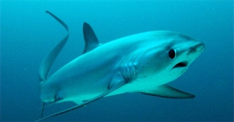 Sminkus Top 100 Movies but Not Like Definitively