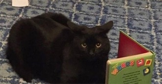 Melanie&#39;s Questionable Book Faves