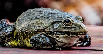 An Original Title (Movies)