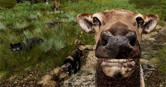 Ecbear21&#39;s Favorite Songs