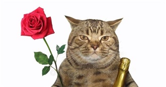 Movies That Tumblr User Cricket Dogcodedcatboy Likes a Lot