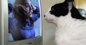 Pelis Locura Andy :)