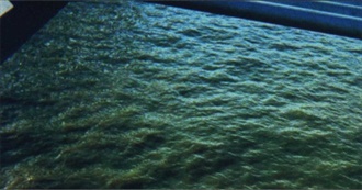 Rabiddoggirl&#39;s Favorite Books