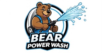 Bear Power Wash Chicago