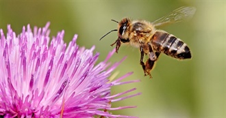 All the Bs I&#39;ve Been To