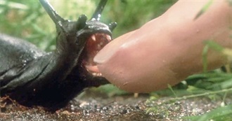 The Top 10 Stupidest Film Dialogue Understatements