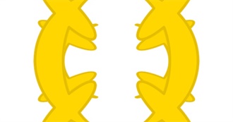 Pokemon League Challenges