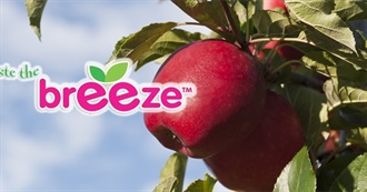 Big T&#39;s Popular Dishes of New Zealand Part 5