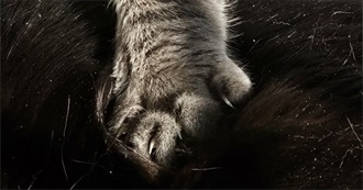 Chrissy R.'S Seen Movies List