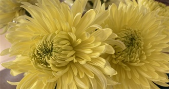 Mamalarae&#39;s List of Books