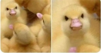 Food and Drinks Kids Love