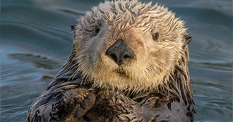 Books to Read in 2023