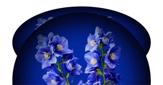 50 Books Gem Has Read That Start With D