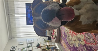 Allie&#39;s 100 Favourite Movies