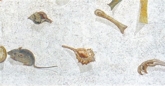 Songs/Albums That Kind of Made a Mark on Ash