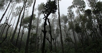 15 of the Darkest, Gloomiest, Doomiest YA Books Ever