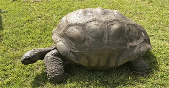 Round the World 2025 Part 18