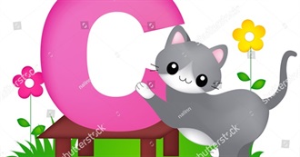 Foods Bearpod Likes That Begin With C