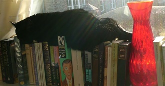 All Creatures Great and Small