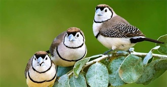 Rane&#39;s Liked Films